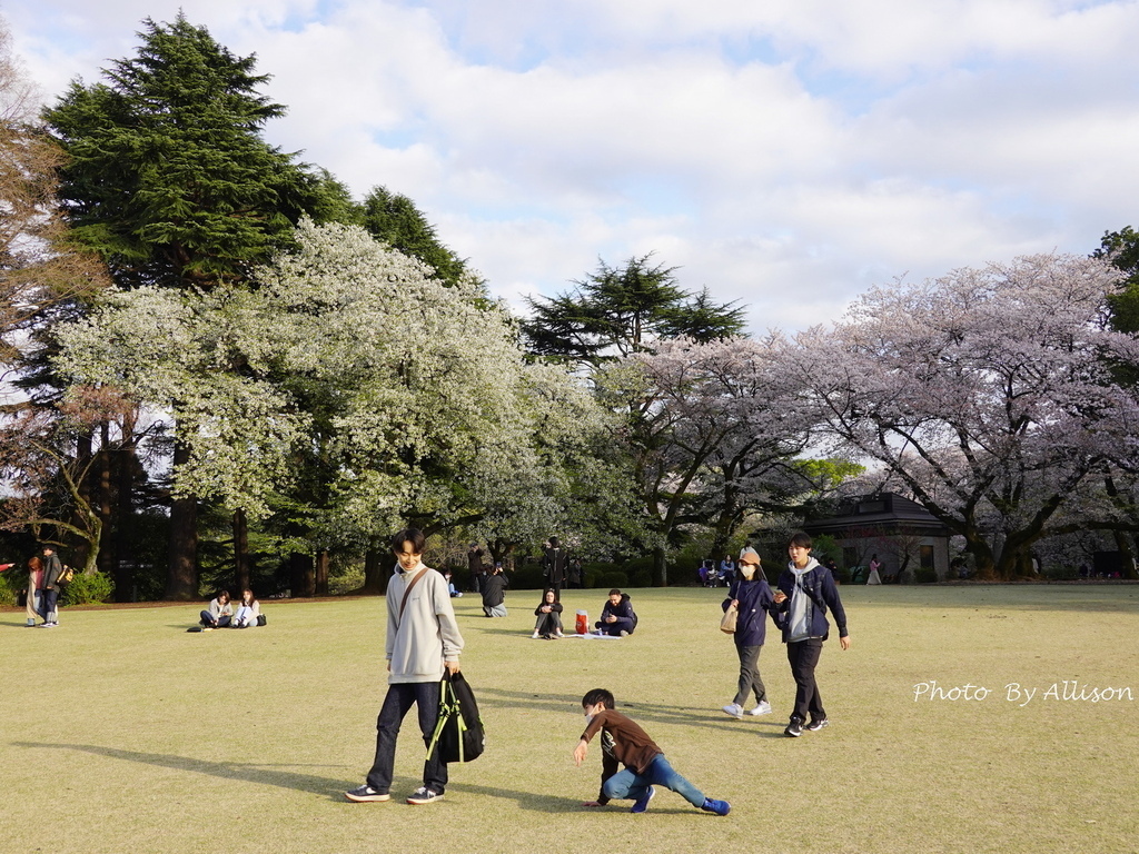DSC03307.JPG