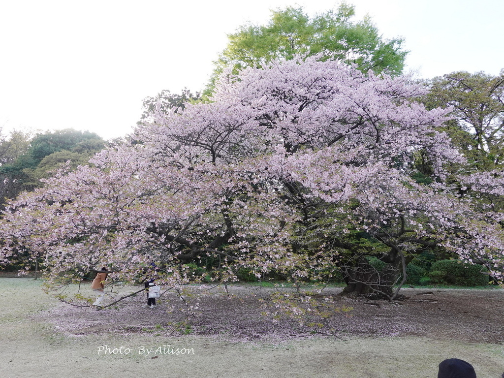 DSC03304.JPG