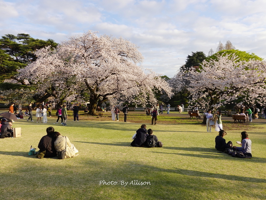 DSC03344.JPG