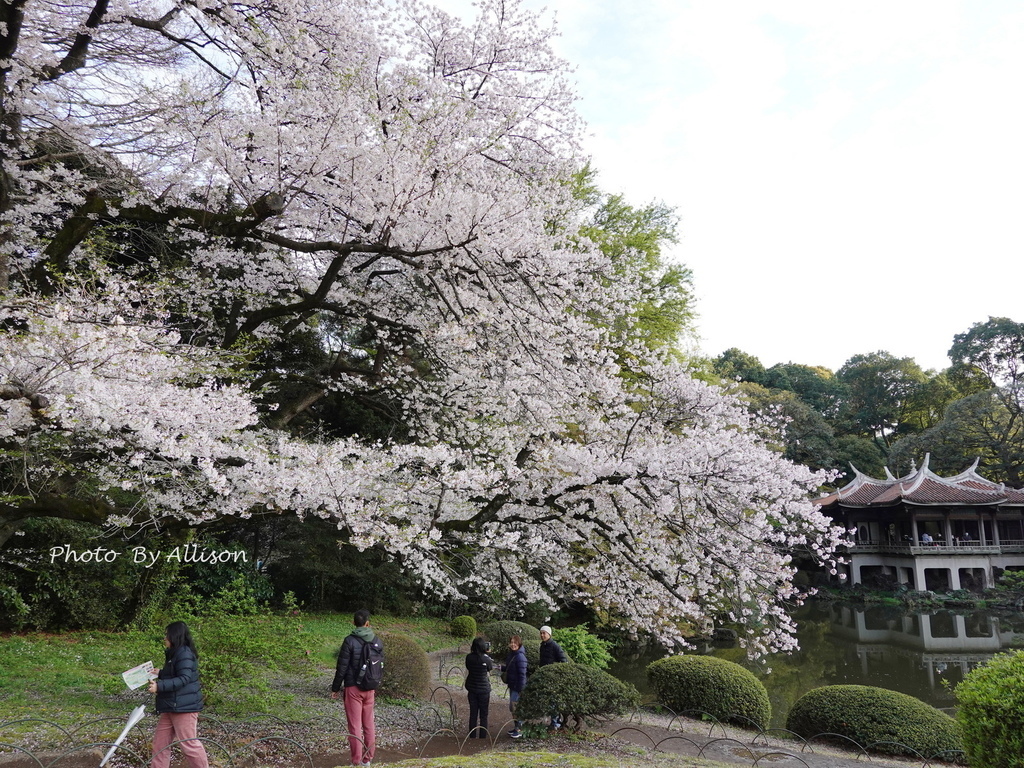DSC03353.JPG