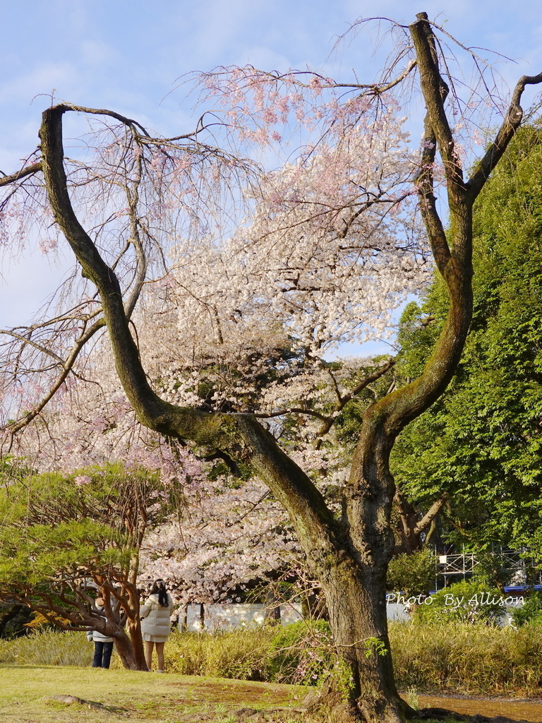 DSC03351.JPG