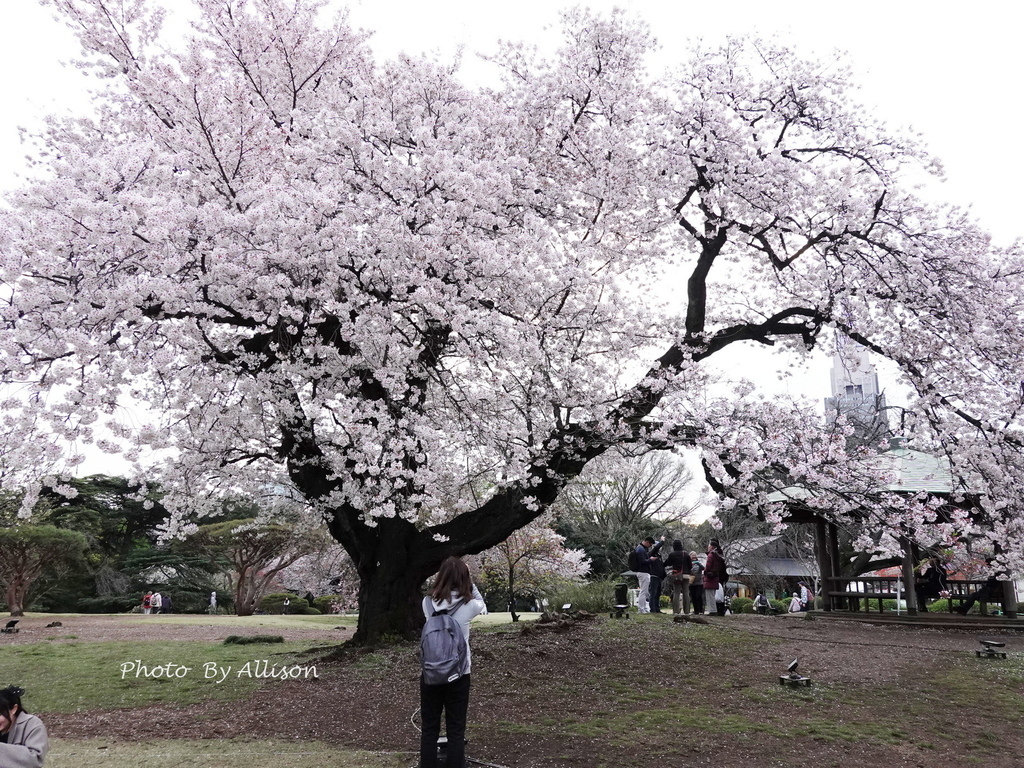 DSC03414.JPG