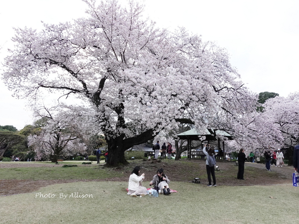 DSC03417.JPG