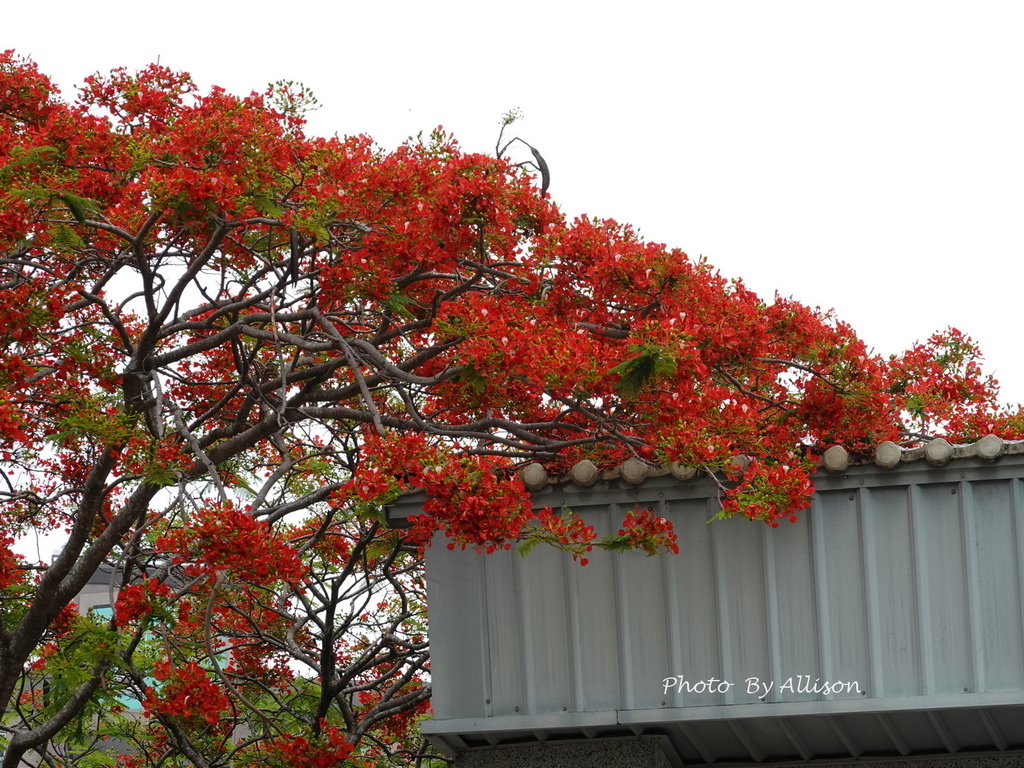 DSC04112.JPG