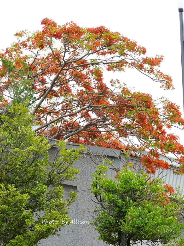 DSC04129.JPG