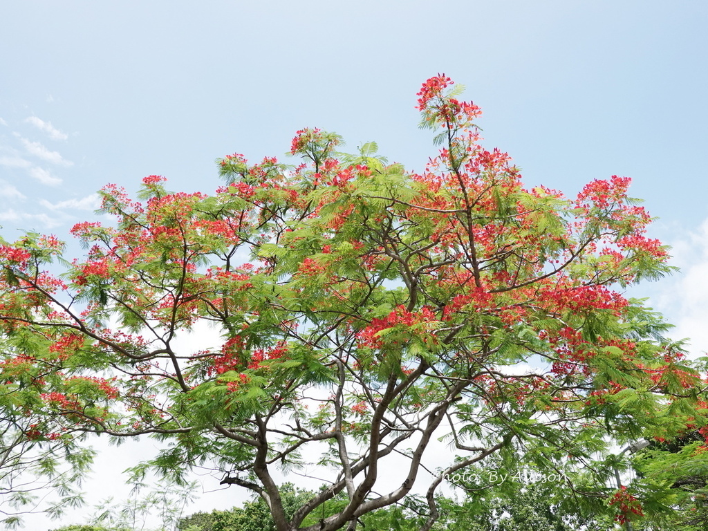 DSC04390.JPG