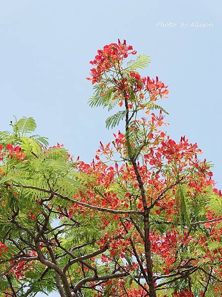 DSC04392.JPG