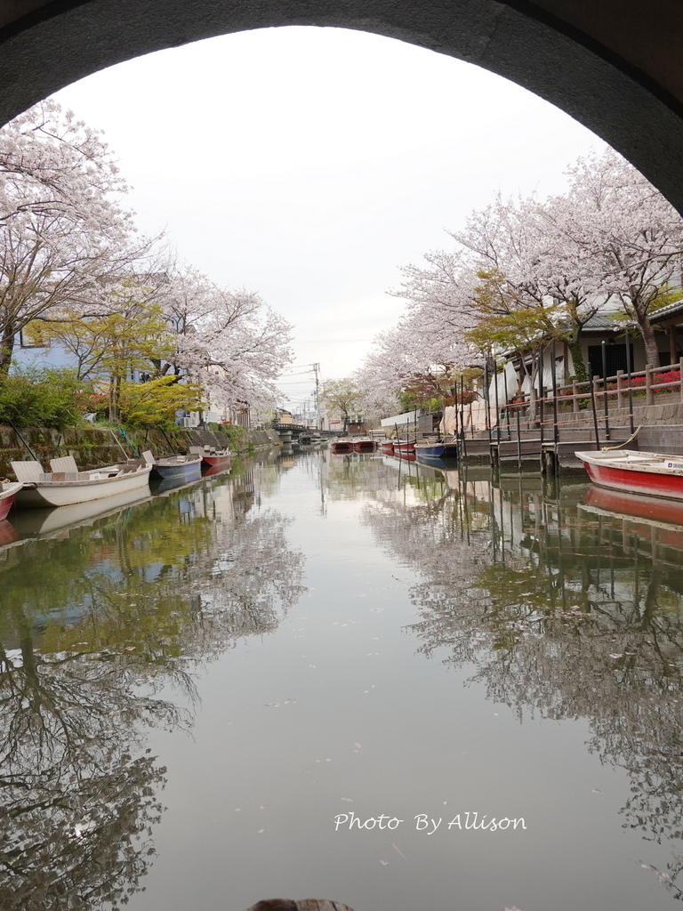 －＞柳川遊船：九州福岡乘坐小船，體驗不同的古都風情…