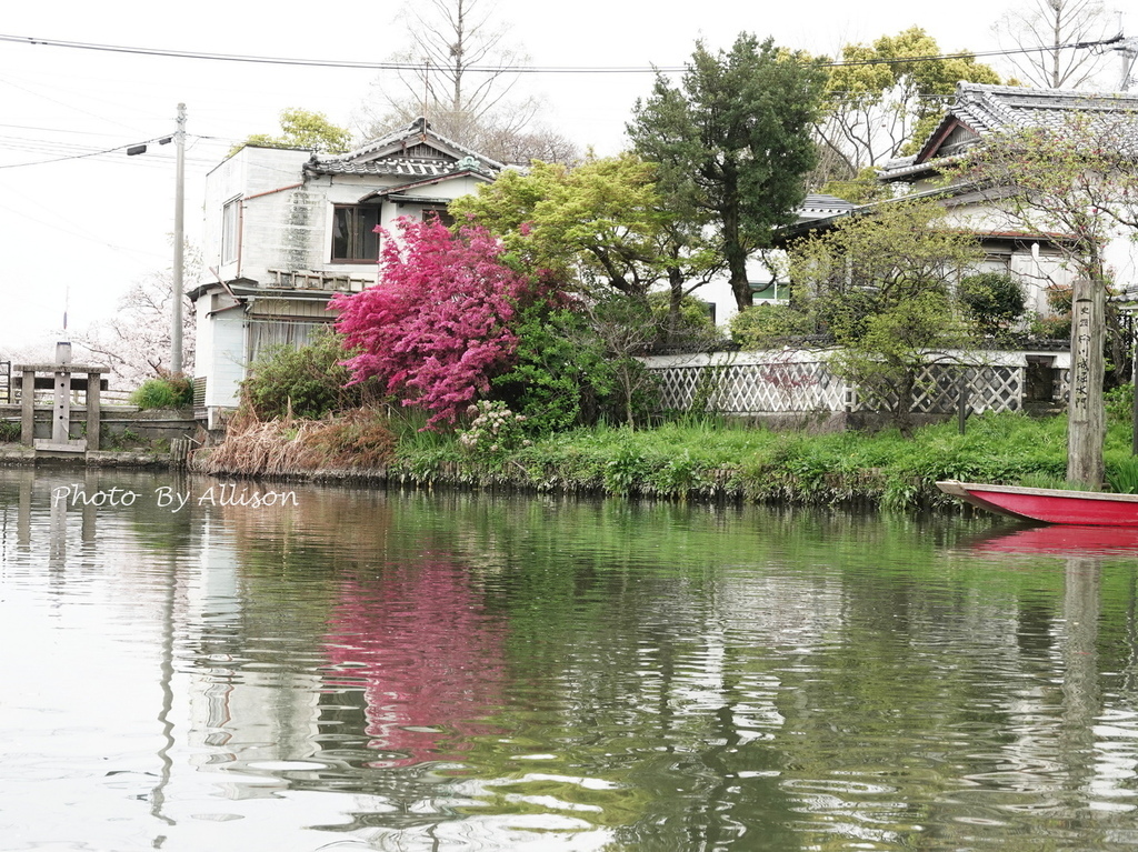 －＞柳川遊船：九州福岡乘坐小船，體驗不同的古都風情…