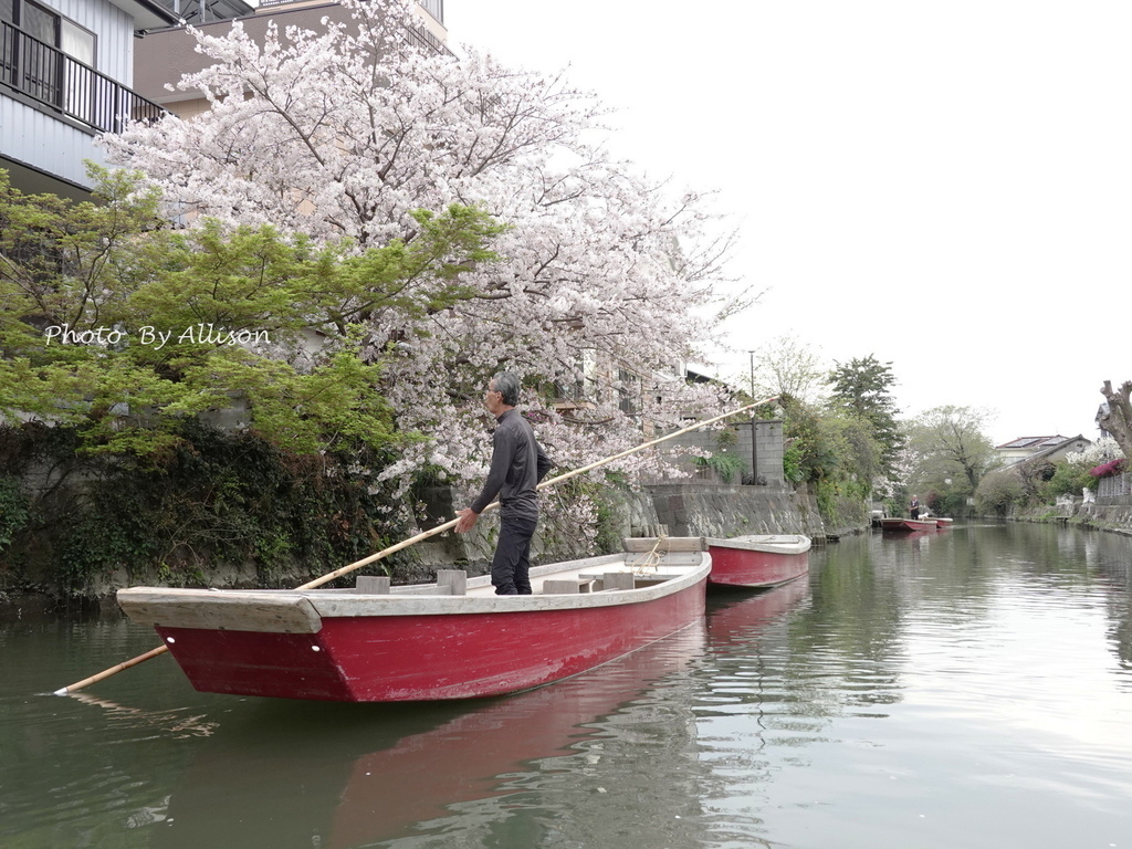 －＞柳川遊船：九州福岡乘坐小船，體驗不同的古都風情…