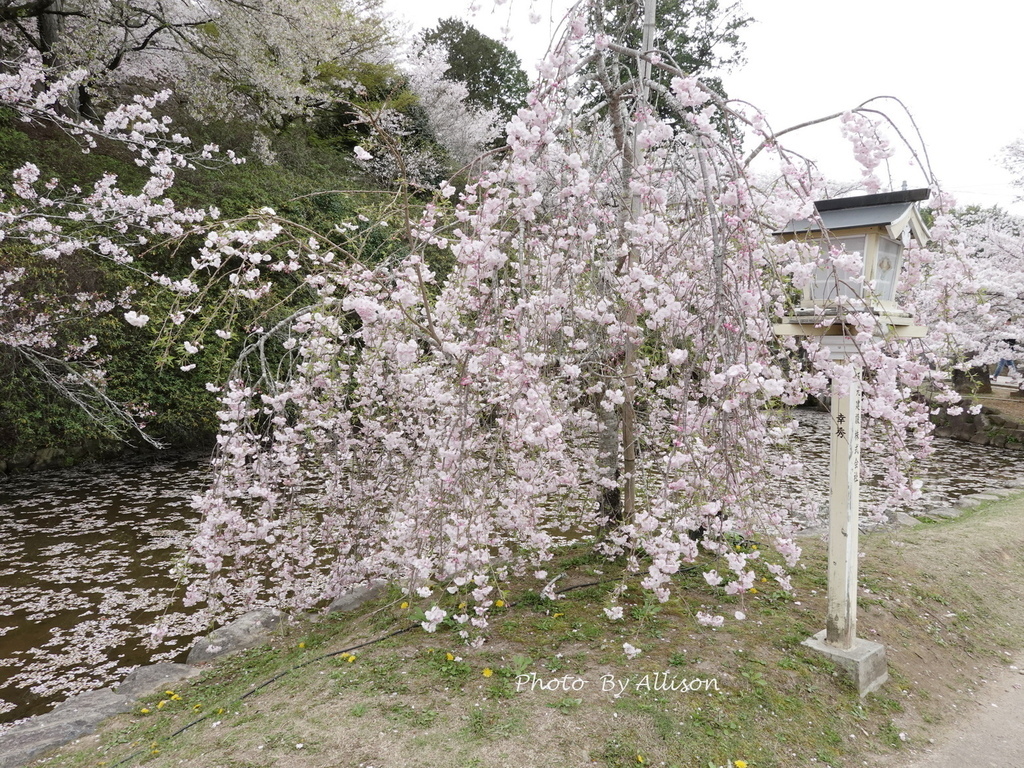 DSC03521.JPG