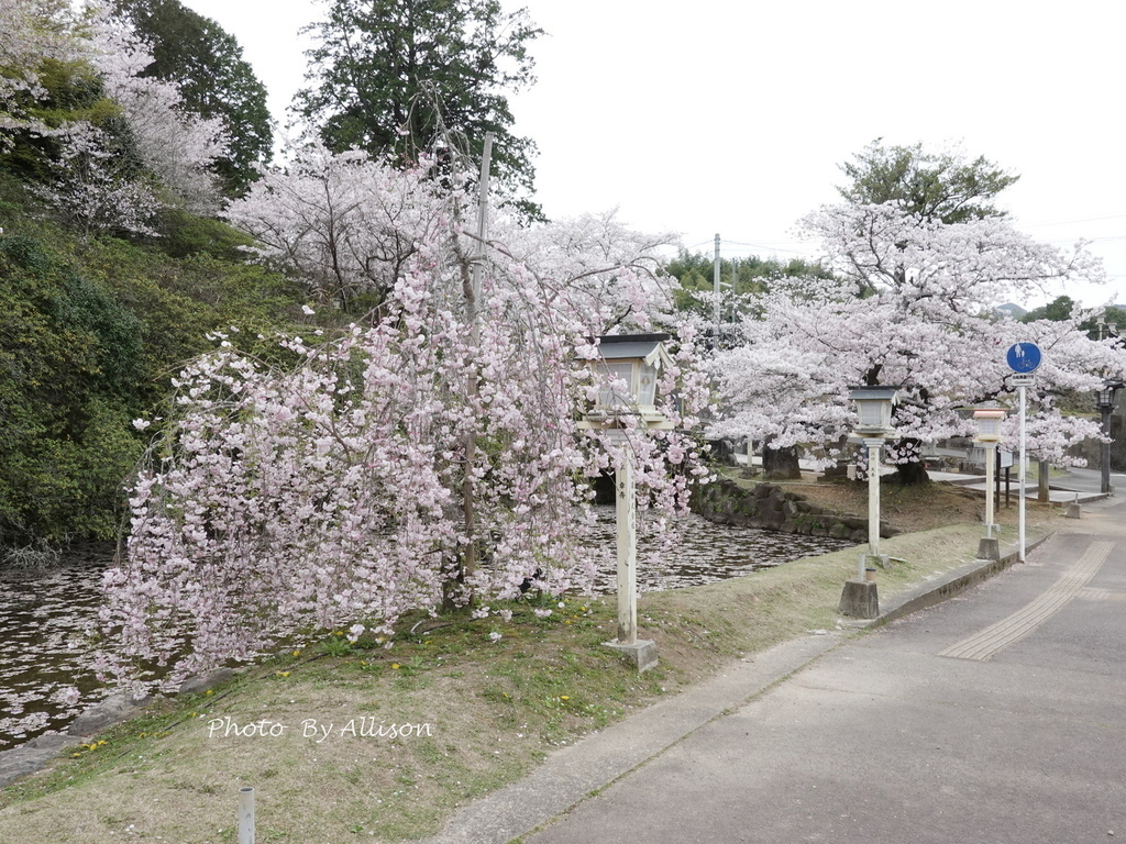 DSC03520.JPG