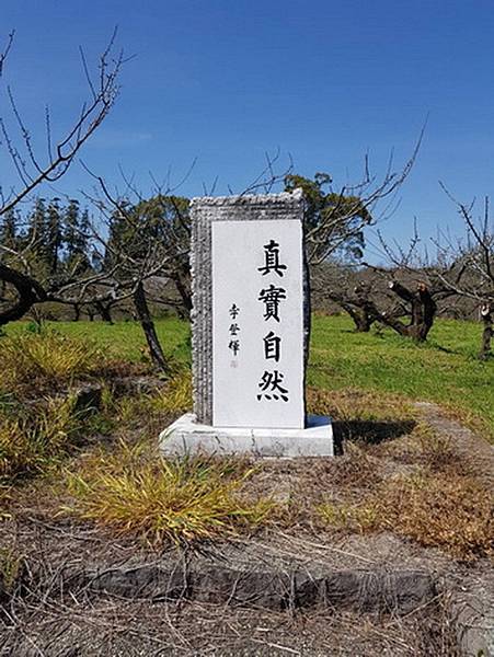 －＞奧日田溫泉梅酒藏：午餐 + 梅酒 大採購