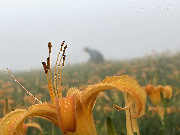 IMG_7143.JPG