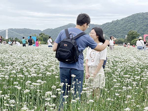 －＞2023大溪韭菜花田好好拍---九月雪非浪得虛名