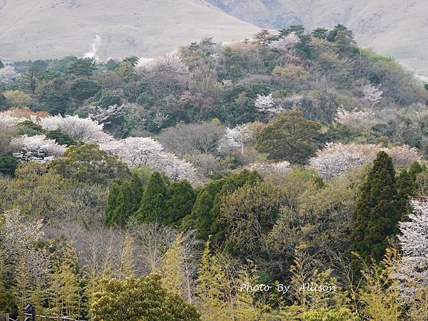 －＞【超級奢華的住宿體驗】俯瞰別府海灣及市區－ ANA別府洲