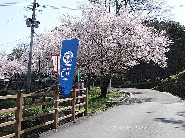 －＞九州大分景點－歷史臼杵城 公園 賞櫻