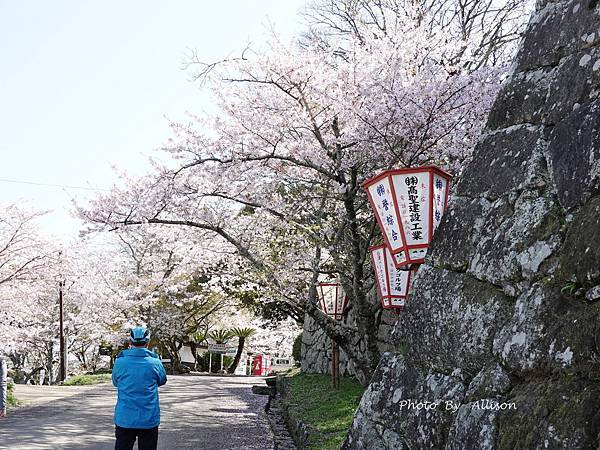 －＞九州大分景點－歷史臼杵城 公園 賞櫻