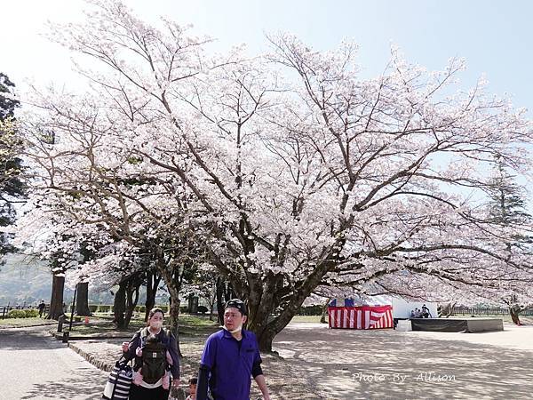 －＞九州大分景點－歷史臼杵城 公園 賞櫻