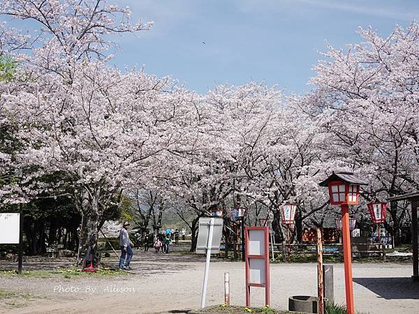 －＞九州大分景點－歷史臼杵城 公園 賞櫻