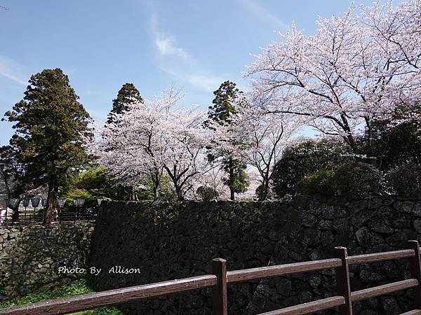 －＞九州大分景點－歷史臼杵城 公園 賞櫻