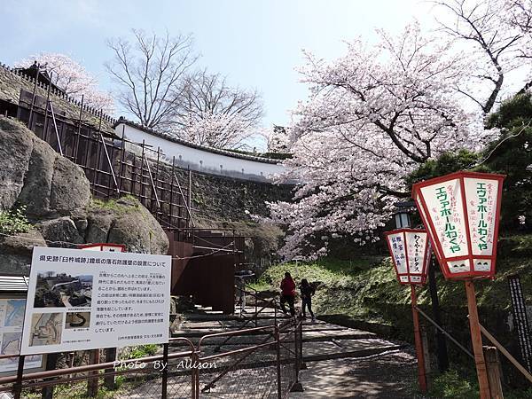 －＞九州大分景點－歷史臼杵城 公園 賞櫻