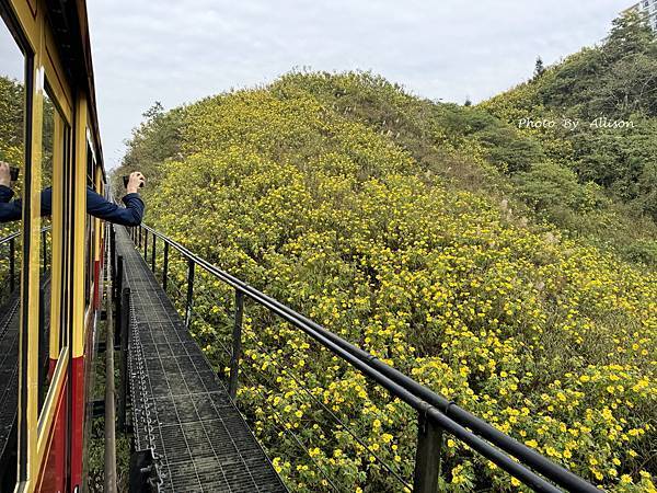 －＞越南旅遊---沙壩梯田 + 番西邦峰 雲海 (上)