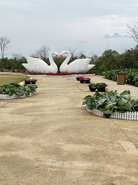 －＞【越南 沙壩】雲霧中的梯田 + 番西邦峰登頂 (下)