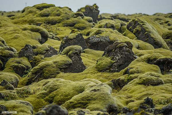 －＞歡迎來到異世界－冰島苔原 + 棉花糖般、圓滾滾可愛的冰島