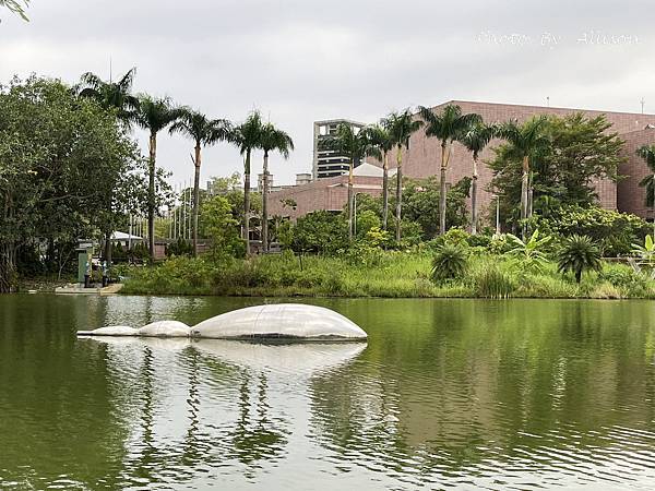 －＞高雄景點： 高美館「前有漂亮的迴廊與白色寬敞的庭園」後有