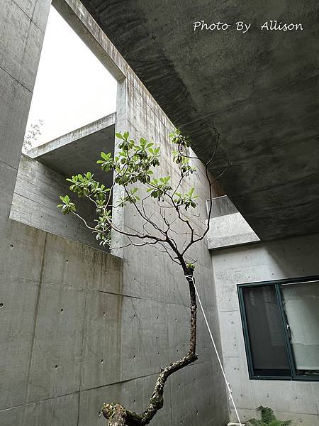 －＞優雅如詩的現代建築---毓繡美術館 ( 廖偉立建築師)