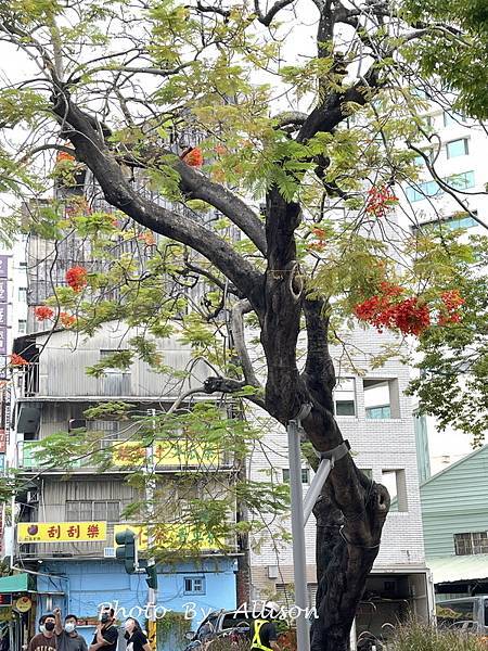 －＞新建築悄悄牽起左右兩棟舊建築， 一起邁步向前的「嘉義市立