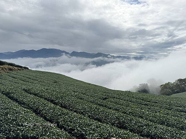 －＞ 也是「茶霧之道」…雲海、茶園、竹林…美不勝收…