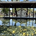 IMG_5666.JPG