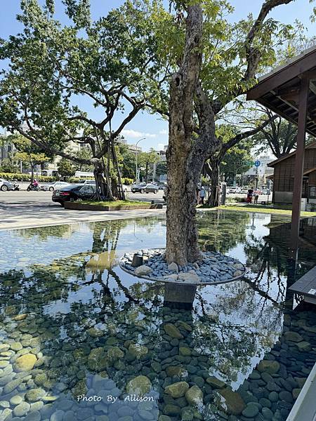 －＞【台中新景點】超好拍的國家漫畫博物館園區！ 鏡湖…老榕樹