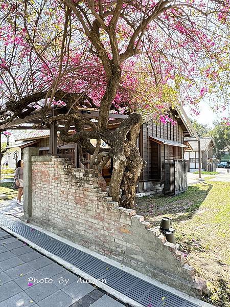 －＞【台中新景點】超好拍的國家漫畫博物館園區！ 鏡湖…老榕樹