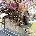 IMG_5692.JPG