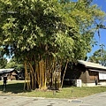 IMG_5687.JPG