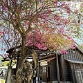 IMG_5777.JPG