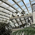 IMG_0046.JPG