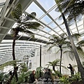 IMG_0052.JPG