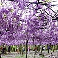 DSC05713.JPG