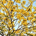 IMG_7316.JPG