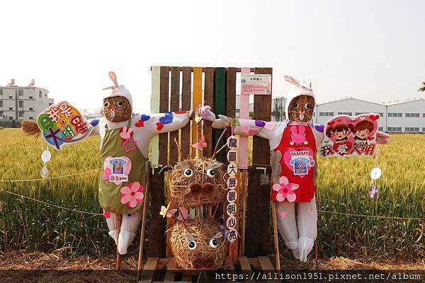 －＞3月來時麥浪翻飛