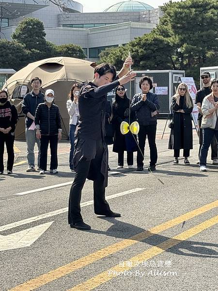 －＞首爾 汝矣島 輪中路 賞櫻