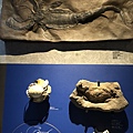 IMG_2854.JPG