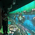 IMG_2893.JPG