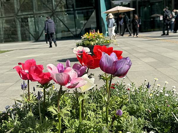 －＞向歷史致敬－首爾新市政廳 + 梨花女子大學 深V峽谷+ 