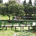 DSC00787.JPG