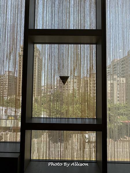 －＞桃園市立總圖以「生命樹」為靈感變身時尚「綠建築」